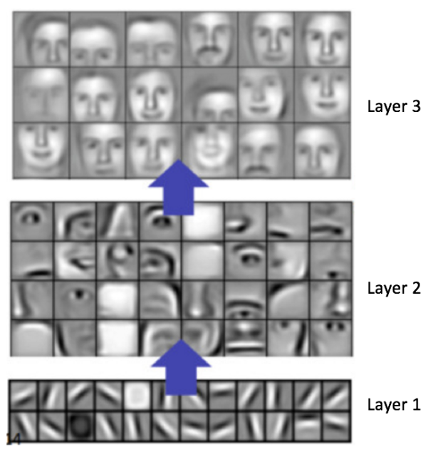 Zastosowanie AI w klasyfikowaniu obrazów